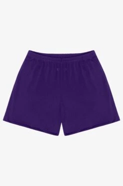 PRM442 - Pro Mesh Gym Shorts -Builtd Store PURPLE FRONT
