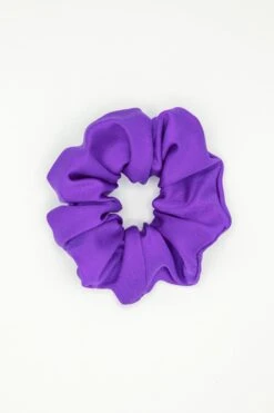 RNTSCRUNCH - Nylon Tricot Scrunchie -Builtd Store purpleevenx